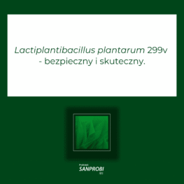 Lactiplantibacillus plantarum 299v