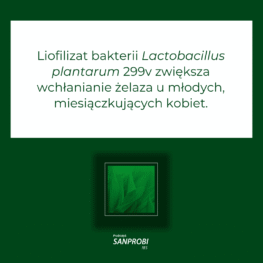 Liofilizat bakterii Lactobacillus plantarum 299v zwiększa wchłanianie żelaza u młodych, miesiączkujących kobiet