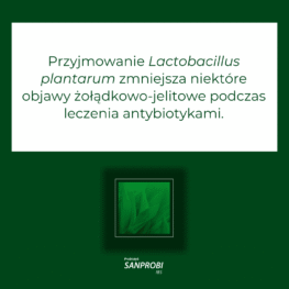 Przyjmowanie Lactobacillus plantarum zmniejsza niektóre objawy żołądkowo-jelitowe podczas leczenia antybiotykami