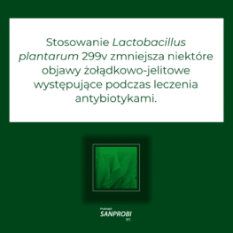 Stosowanie Lactobacillus plantarum 299v zmniejsza niektóre objawy żołądkowo-jelitowe występujące podczas leczenia antybiotykami